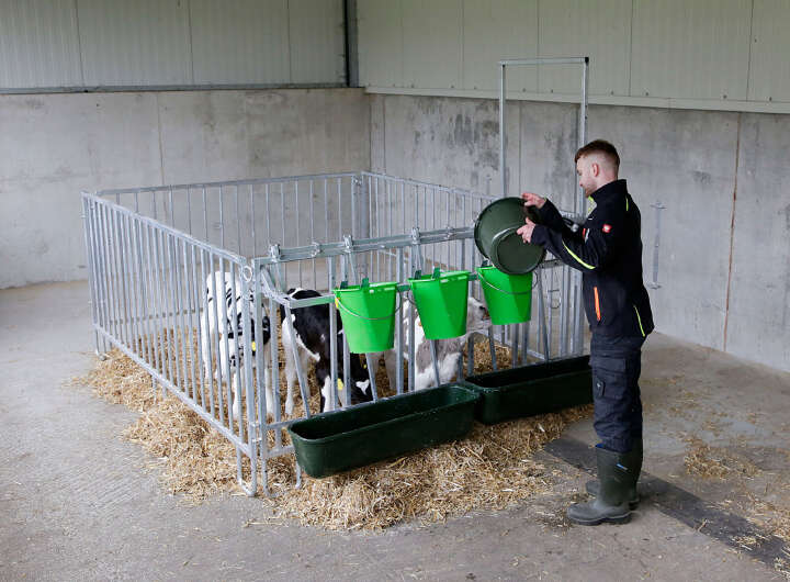 KERBL Modulare Zaunaufstallung Fanggitter